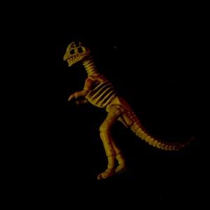 This toy is just a normal Dino toy